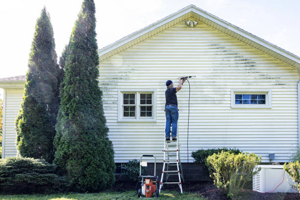Best Commercial Building Pressure Washing  in Franklin Park, IL
