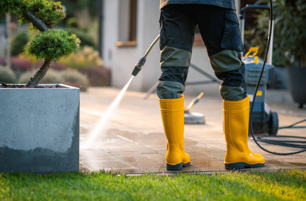 Best Exterior Home Cleaning  in Franklin Park, IL